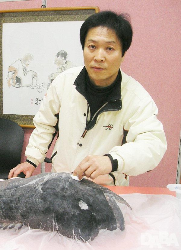 사진= 지난 2007년 1월 국내에서 최대 대물로 기록된 길이 102㎝, 무게 19㎏짜리 초대형 혹돔의 어탁을 작업 중인 한국예술어탁연구소 이용근 소장