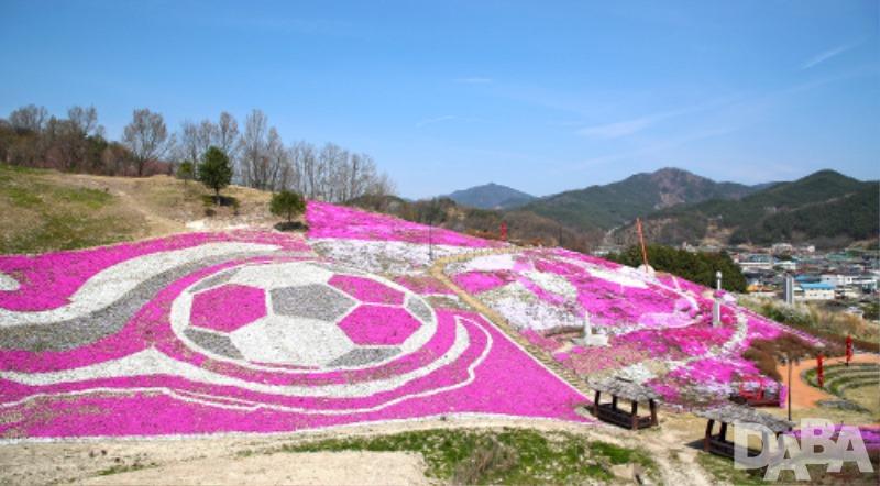 사진= 생초국제조각공원 꽃잔디 축제