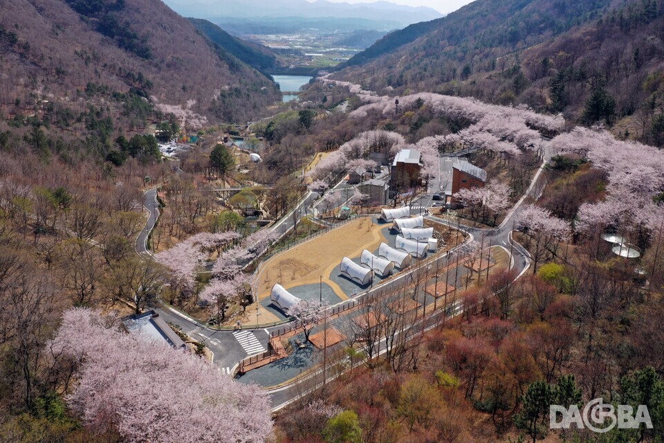 【특집】진주 '월아산 자연휴양림' 전국 최고 산림복지시설 '도약'