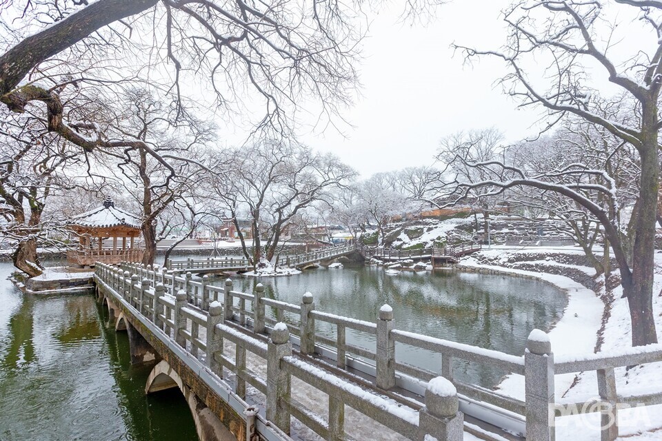 ▲눈 내린 무진정.
