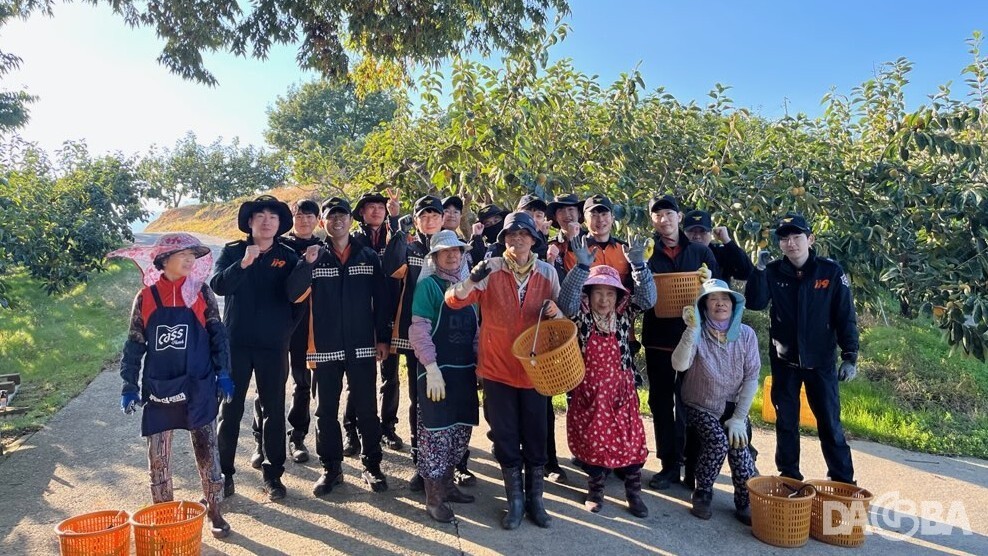 ▲단감 농가 일손돕기.(사천소방서 제공)