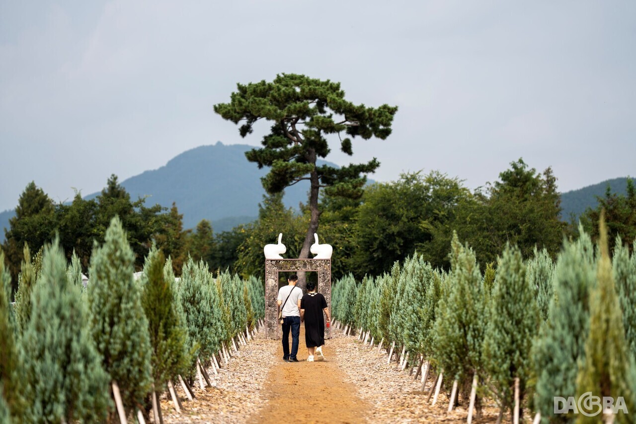 ▲2025 의령 기강 리치 꽃축제.(의령군 제공)