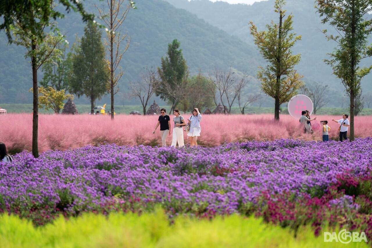 ▲2025 의령 기강 리치 꽃축제.(의령군 제공)