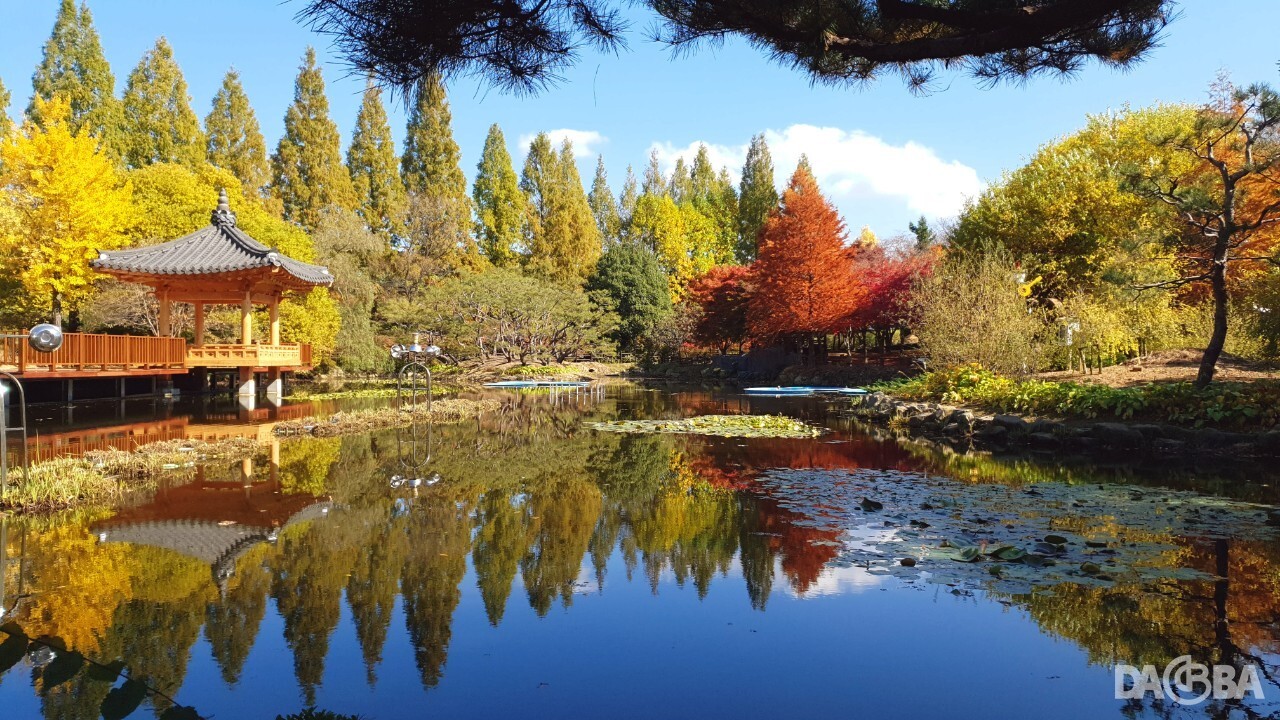 ▲단풍으로 물든 경남수목원.(경남도 제공)