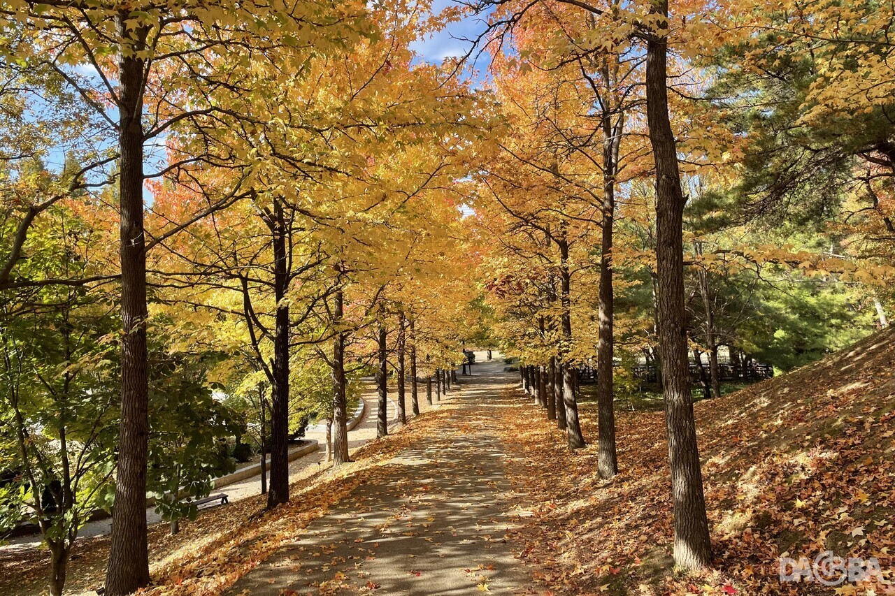 ▲단풍으로 물든 경남수목원.(경남도 제공)