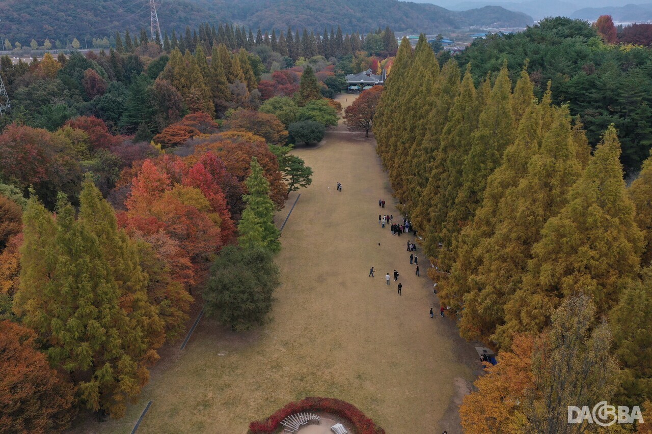 ▲단풍으로 물든 경남수목원.(경남도 제공)