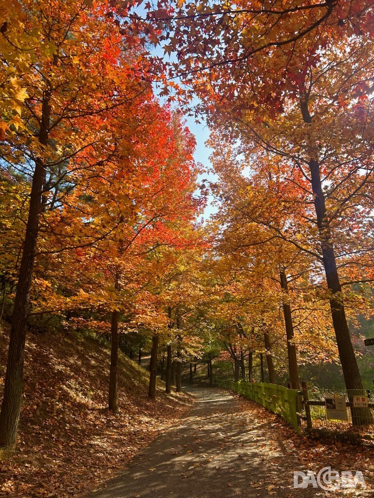 ▲단풍으로 물든 경남수목원.(경남도 제공)