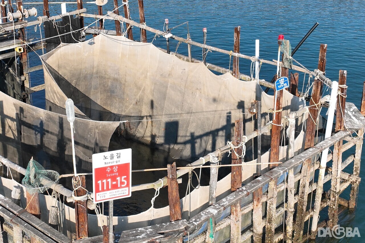 ▲가시성 개선 전후 수상 도로명주소 시설물 비교.(사천시 제공)