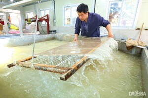 천년을 이어온 함양 전통한지